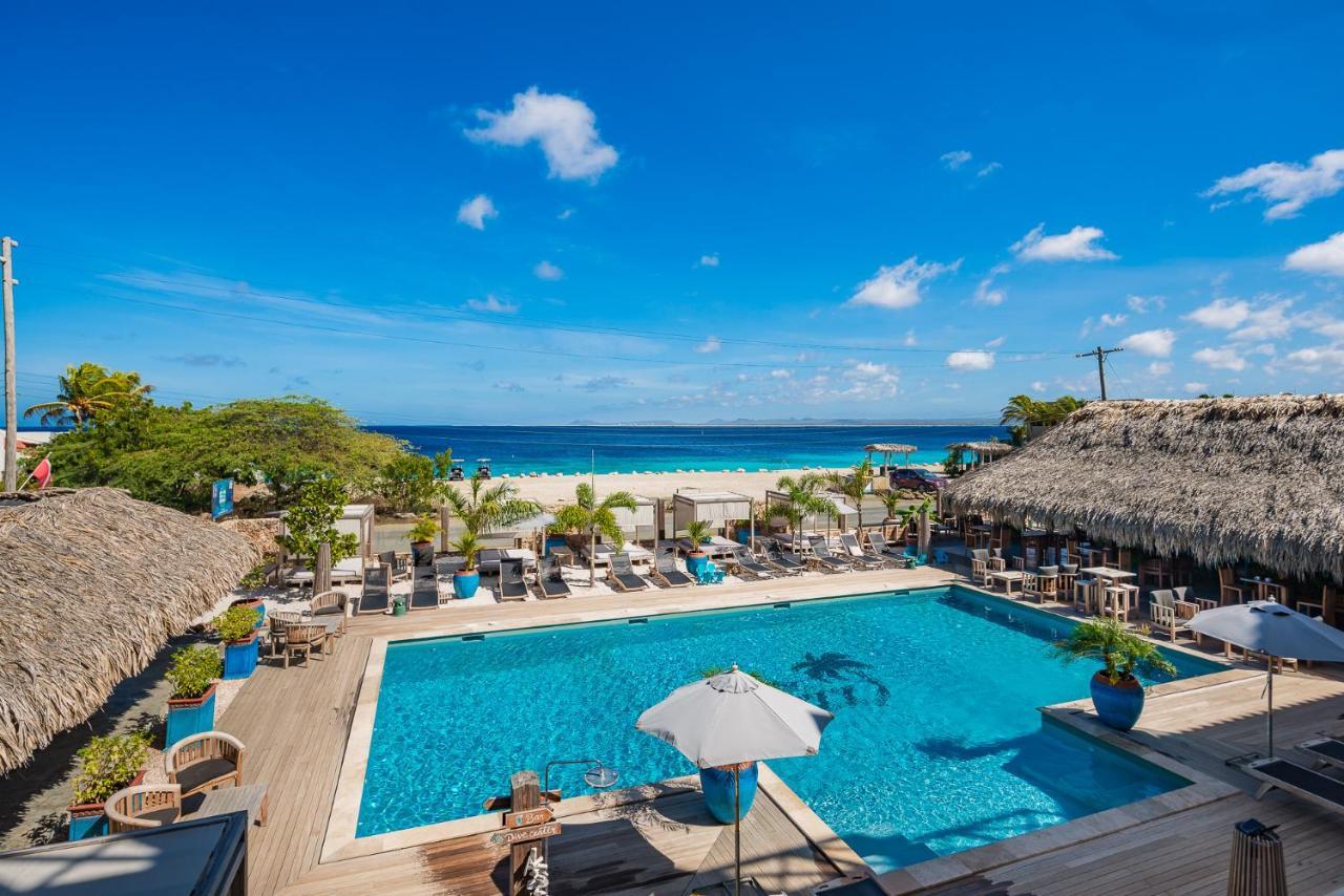 Bloozz Resort Bonaire クラレンダイク エクステリア 写真