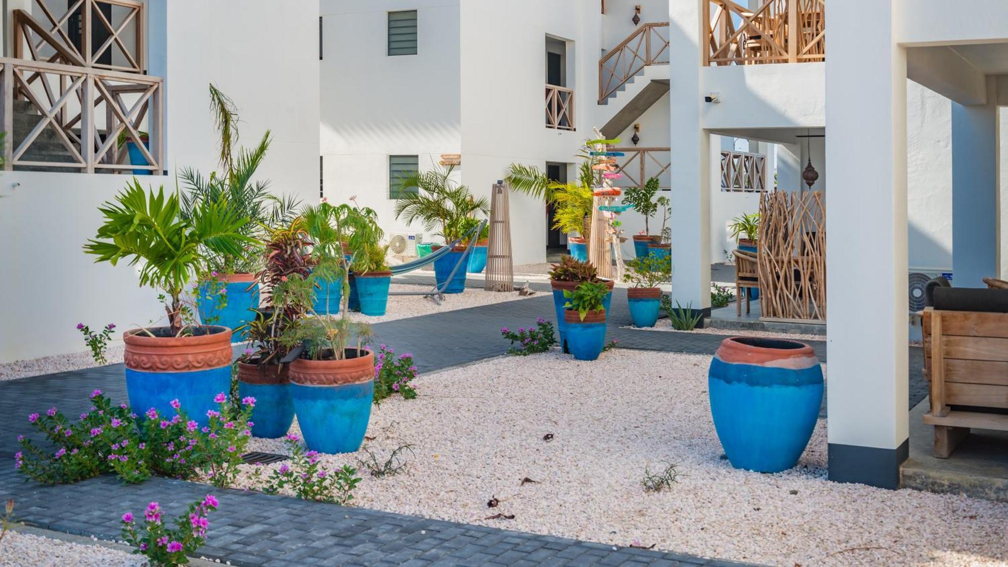Bloozz Resort Bonaire クラレンダイク エクステリア 写真